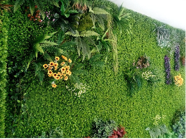 Trang trí tường bằng cỏ cải xoong